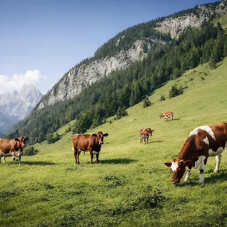 Lejlighed Am Obersalzberg - L Exklusives Mit Alpenpanorama Berchtesgaden