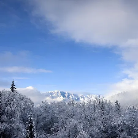 Am Obersalzberg - L Exklusives Mit Alpenpanorama Lejlighed
